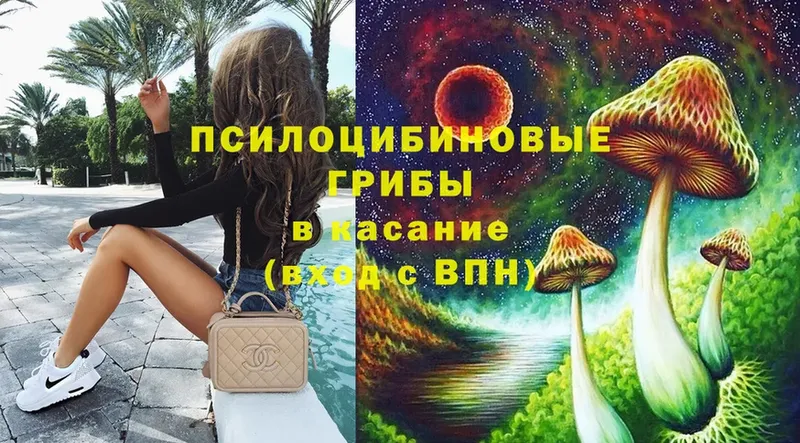 Галлюциногенные грибы GOLDEN TEACHER Апрелевка